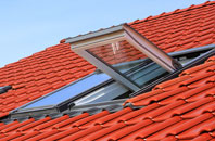 Kinsham roof window